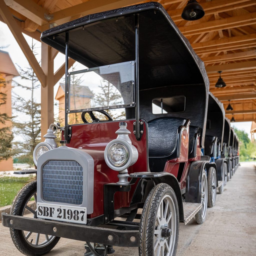 Vintage Cars
